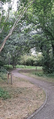 SENTIER BOTANIQUE DU BOIS JOLI
