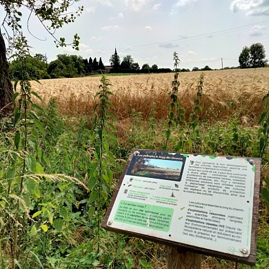 SENTIER PÉDAGOGIQUE DU CHEMIN DE LA BÉCASSE