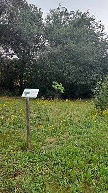 SENTIER BOTANIQUE DU PARC DE LA SAUNE