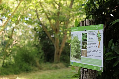 SENTIER BOTANIQUE DE MONTLAUR