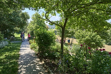 JARDIN DES SENTEURS ET DES COULEURS ET CHEMIN  ...
