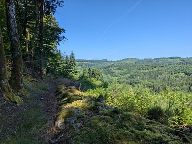 Landes et Tourbières