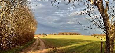 Sentier de la Fournière version courte - Ville ...