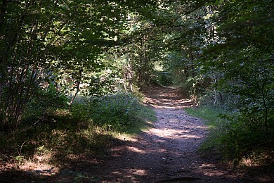 Circuit VTT n°3 dans la forêt de Sérénac