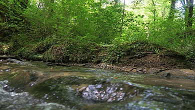 N°88 Camp de César