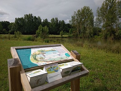 Sentier autour de l'eau