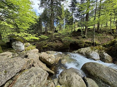 Le gouffre d'enfer (36)