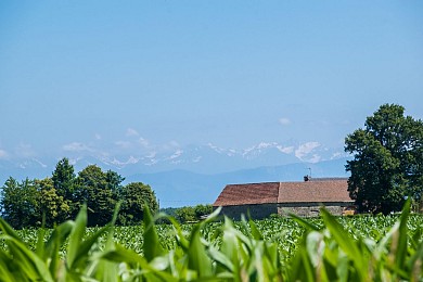 Uzein - Boucle de la Hialère