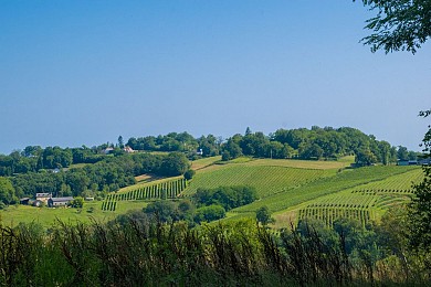 Aubertin - De la Hélère à la Baïse