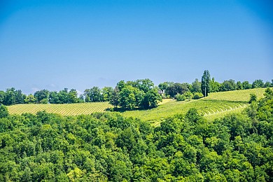Laroin - Boucle du Couday