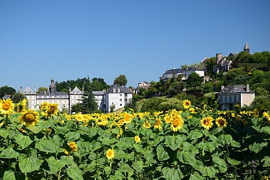 Lescar - Cité et nature