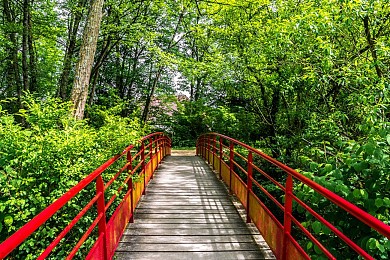 Lons - Circuit du Lanot