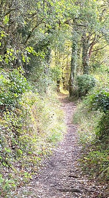 Boucle de Paussac Saint-Vivien - Le Boulou