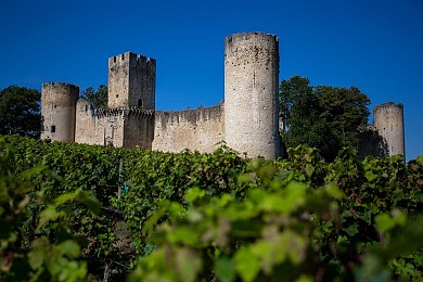 Budos, La vie de château