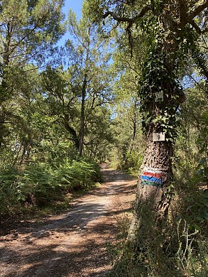 Sentier Lou coupe-came