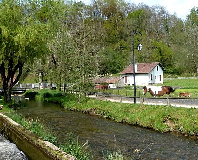 Balade à Roulettes n°40 : Le Virgou à Arette
