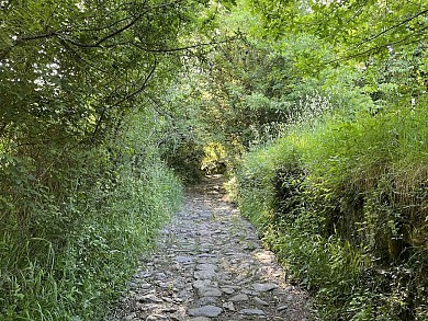 Les Palombières (82)