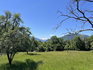 Le tour des Frontignes (81)