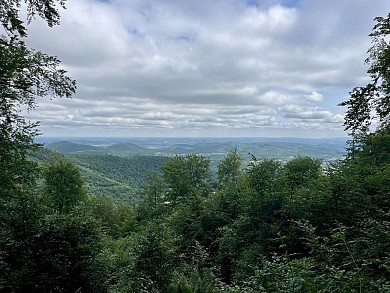 Le refuge St Martin (87)