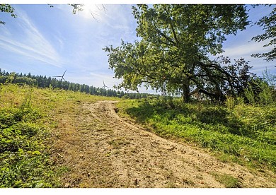 Circuit du Pas du Loup