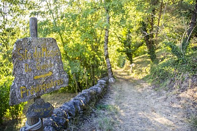 Le maquis du Guesclin