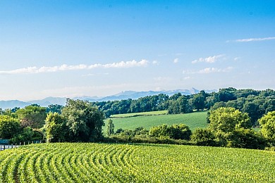 Beyrie-en-Béarn - Promenade autour de Beyrie