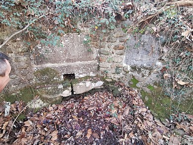 La Forestière