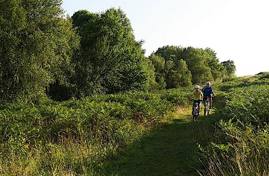 VTT N°73 - Bois de Haut
