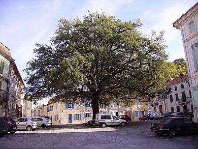 Boucle de Mussidan et ses faubourgs