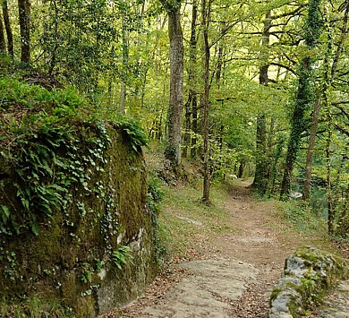 Sentier Botanique de Pampelonne