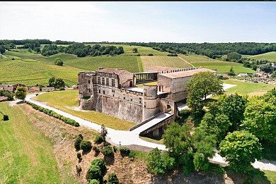 Circuit | Un château dans le vignoble | Bouteville