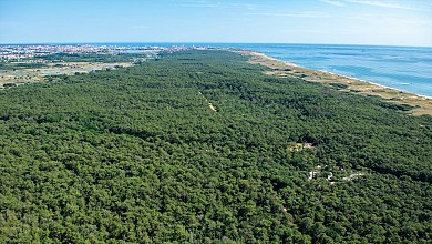 L'Arboretum - Les Sables d'Olonne Quartier d'O ...