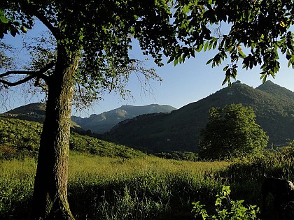 Le Tour de Baloum