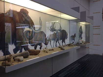 Liaison sud  Musée de Préhistoire - Eurovéloroute 3