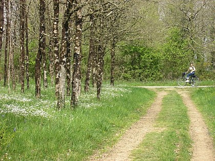 Itinéraire cyclable entre Saint Sulpice le Verdon et l'Herbergement