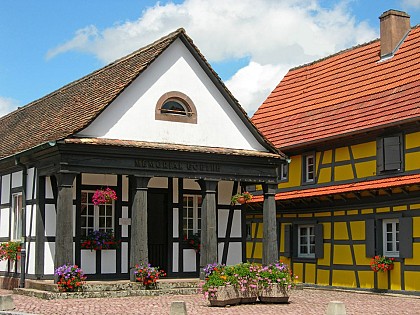 BR67 The potter's villages and the forest of Haguenau