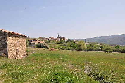 Arlebosc variante 1