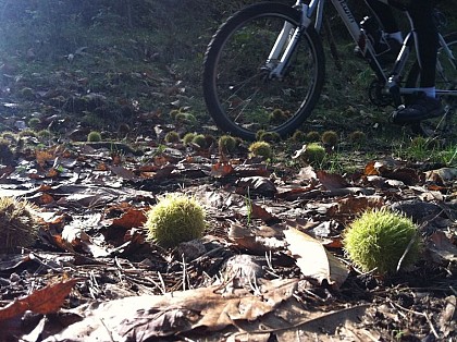 Col du Buisson