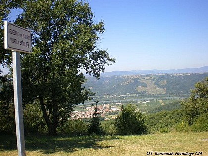 Les Planards