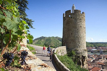 The Watchtowers