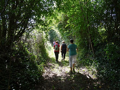 SENTIER DE RANDONNÉE LE BOIS DE LA ROCHE HUE À CHEVIRÉ LE ROUGE