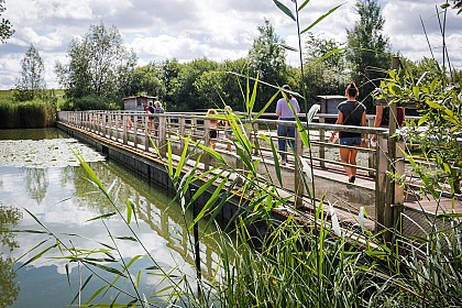 The Welschhof Pond Loop
