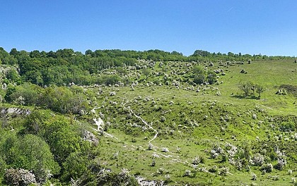 Boucle du Mont Pelé et du Mont Hulin