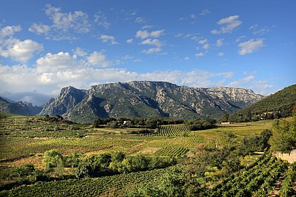 CIRCUIT LE VERDIER - SITE VTT CAROUX EN HAUT LANGUEDOC