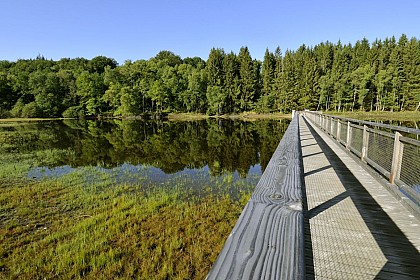 Tour du lac de Vassivière (équestre)