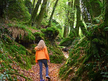 Le bois de Kerbescont