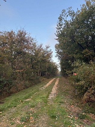 La Trans-mairéenne