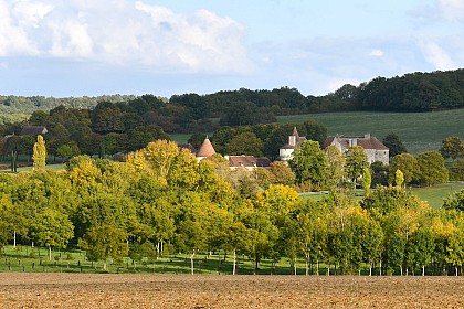 Entre Champs et Forêt - Circuit n°63