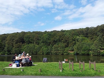 En lisière de forêt