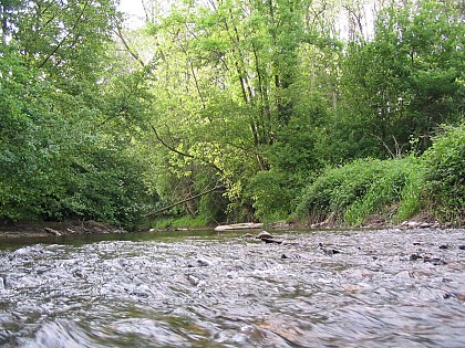 Sentier découverte du Val de Morge